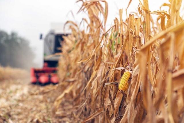 Optimizing Soybean Harvesting: A Comprehensive Guide for John Deere Combine Users